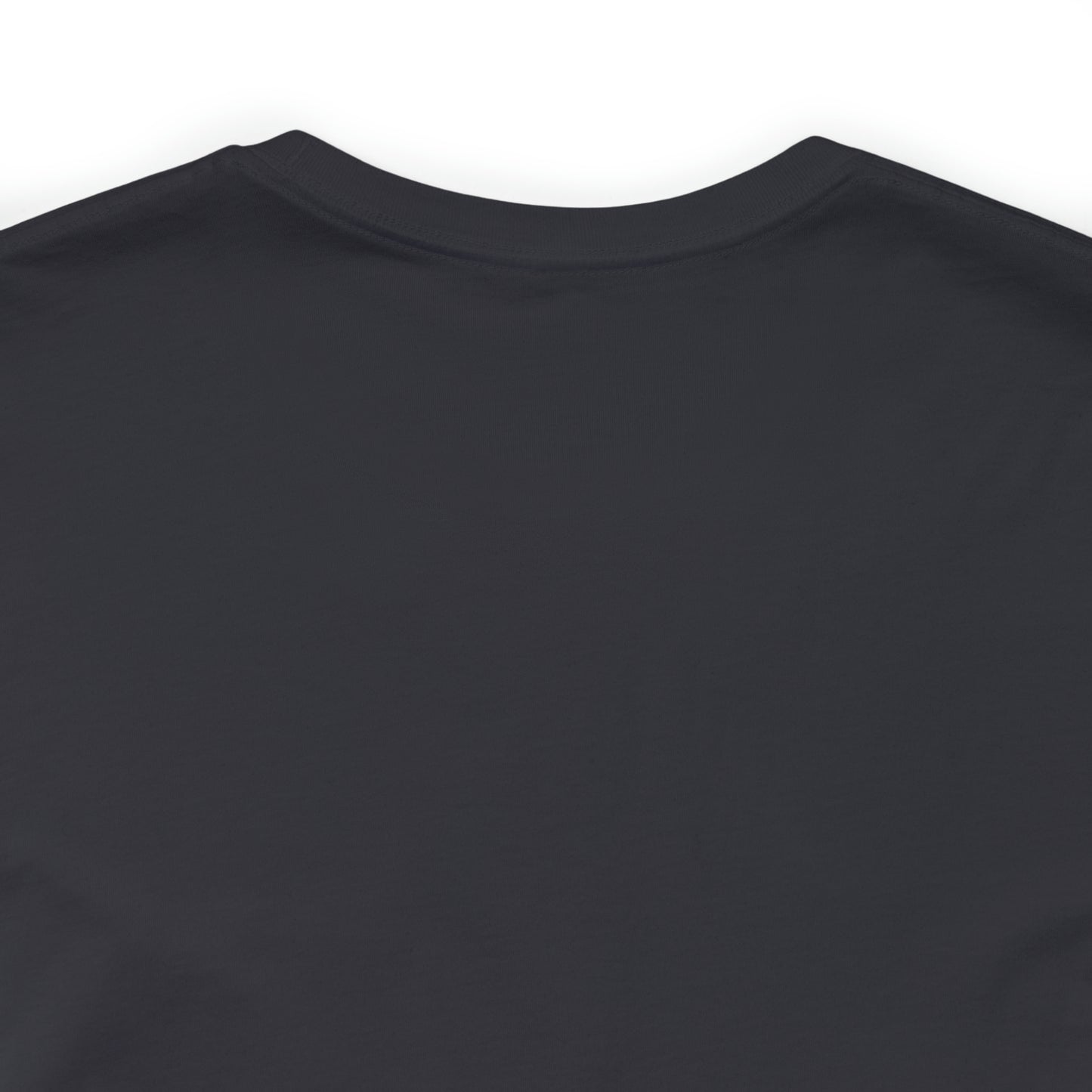 Taylors Version Shirt for Pastor Shirt for minister shirt for clergy shirt for seminarian shirt Short Sleeve Tee